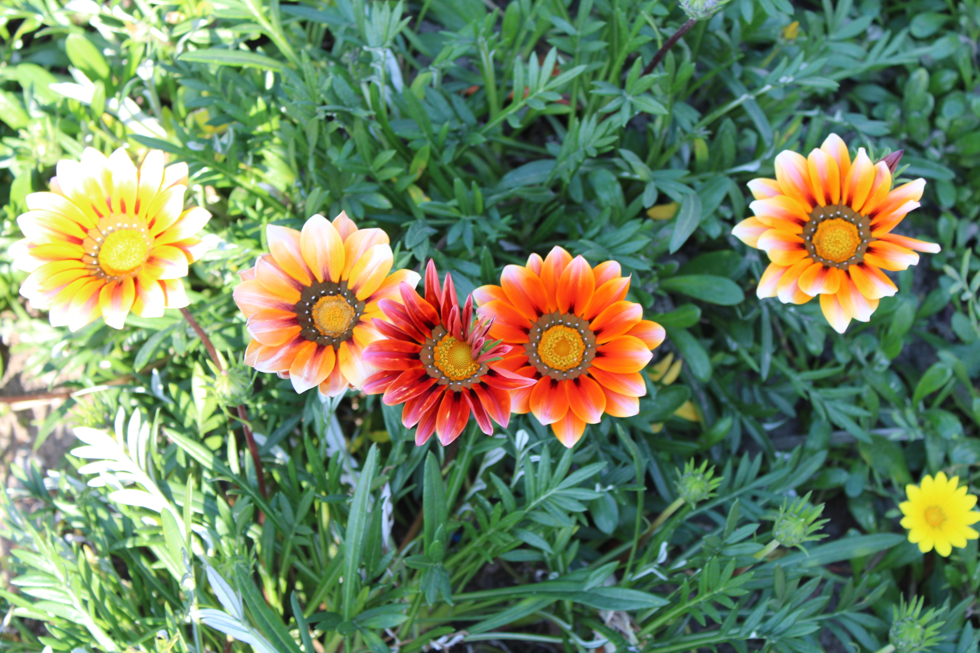 20230811140742_IMG_7227