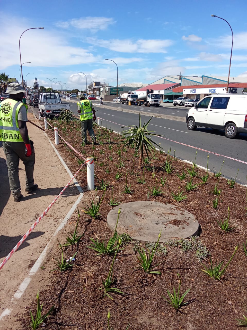 WhatsApp Image 2024-11-25 at 3.38