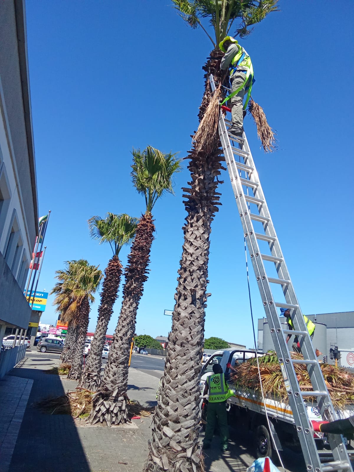 WhatsApp Image 2025-03-10 at 3.21