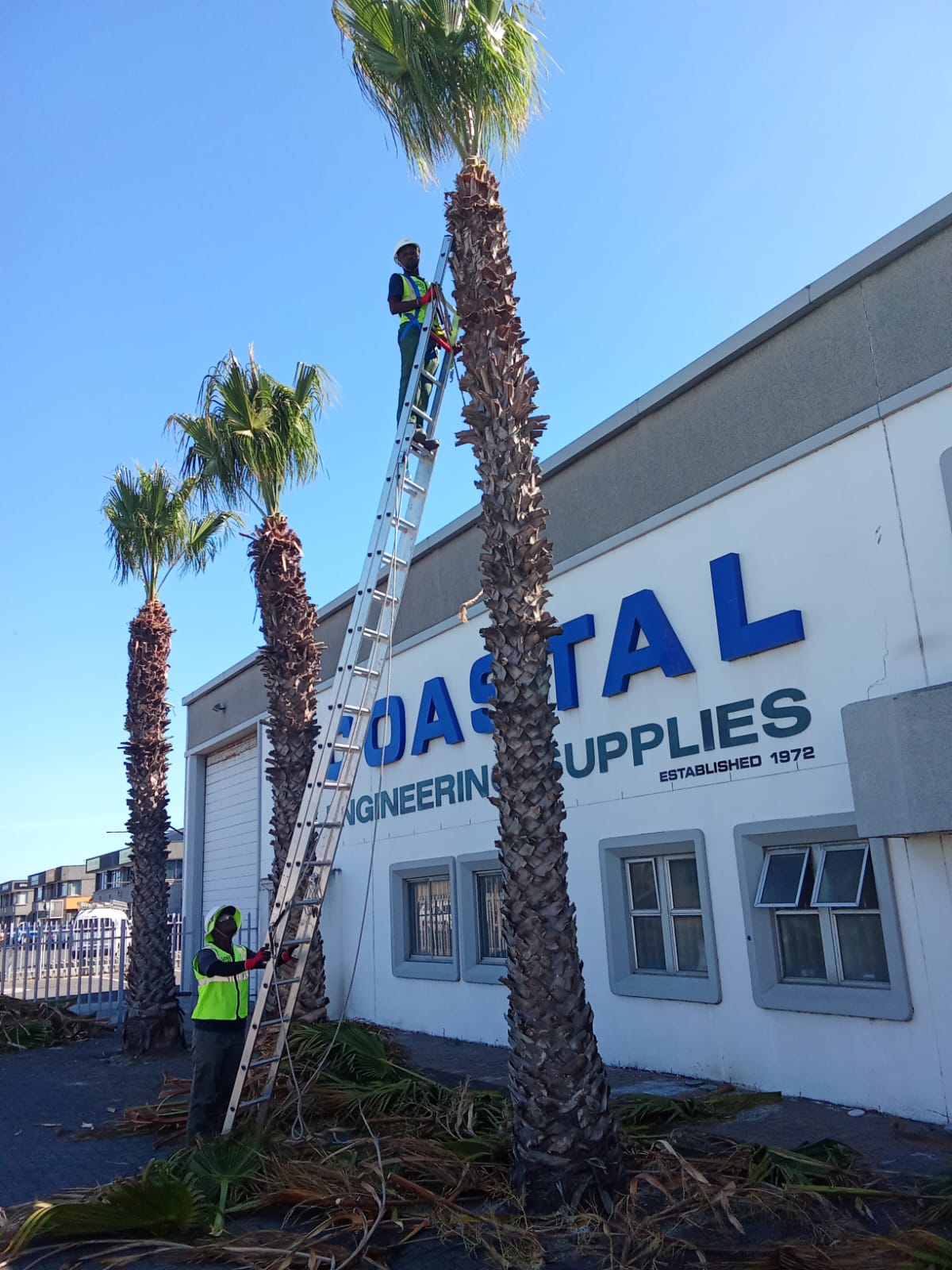 WhatsApp Image 2025-03-10 at 3.21