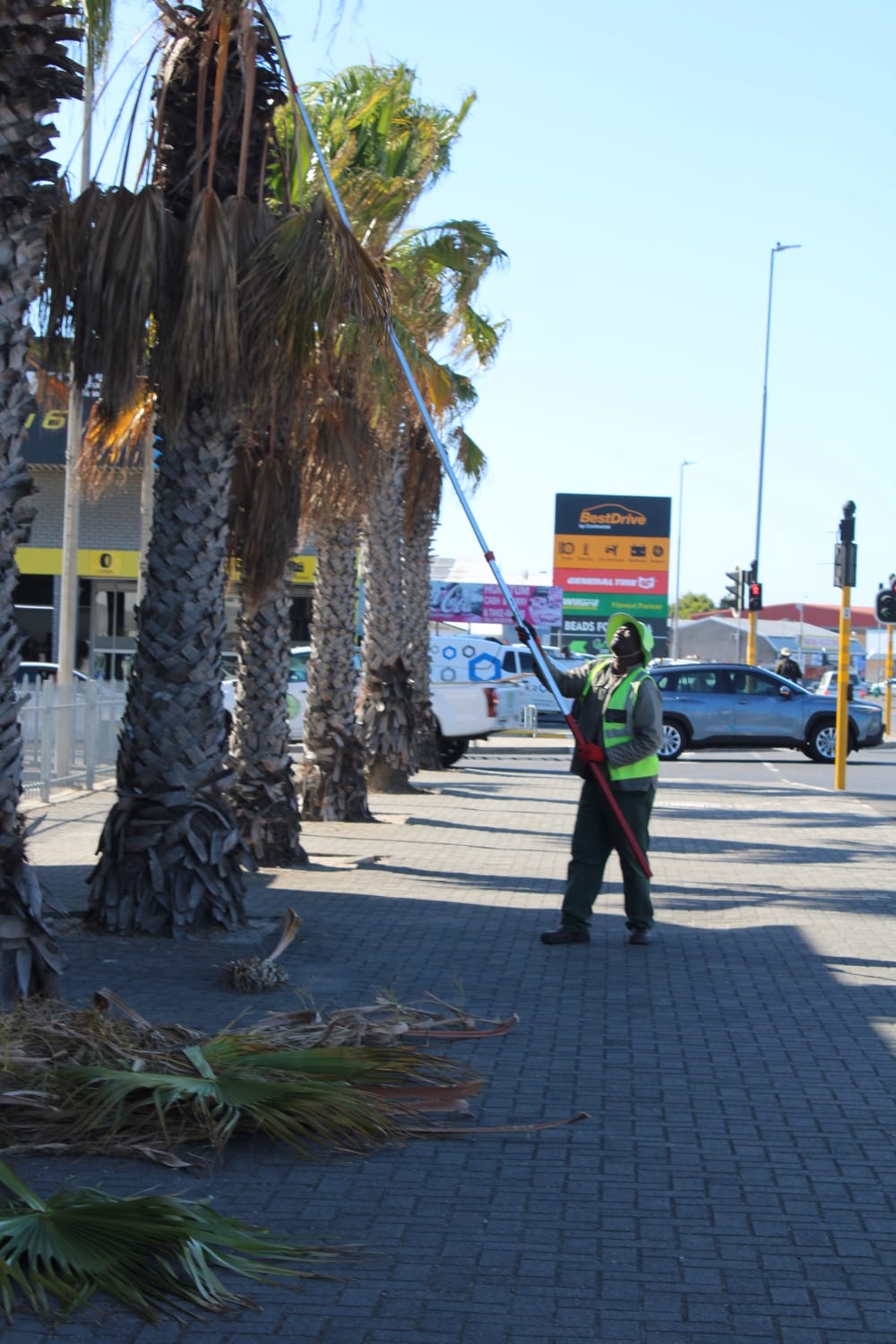 WhatsApp Image 2025-03-11 at 11.24