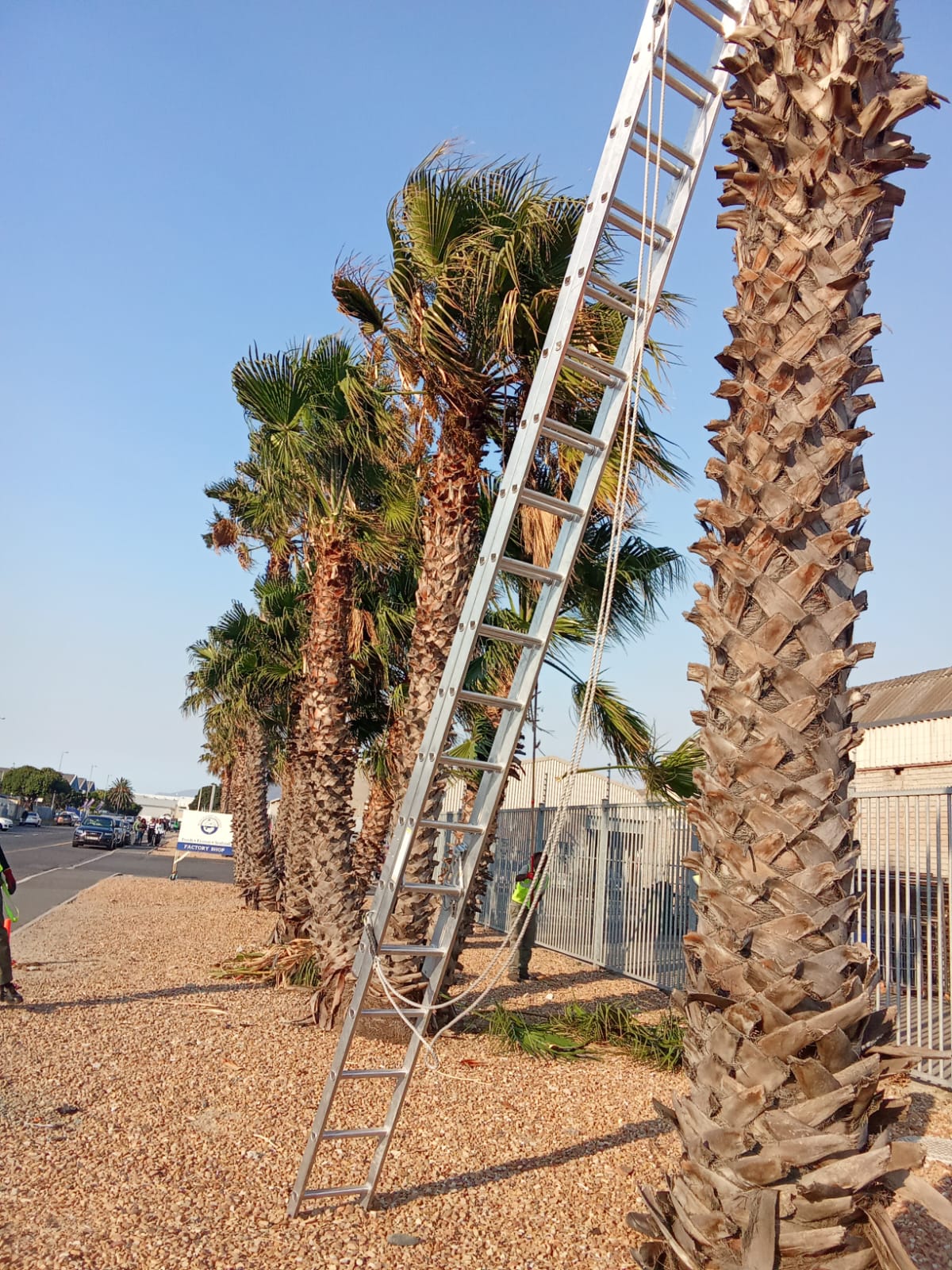 WhatsApp Image 2025-03-14 at 3.32