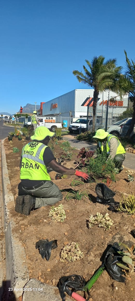 WhatsApp Image 2025-04-23 at 11.10