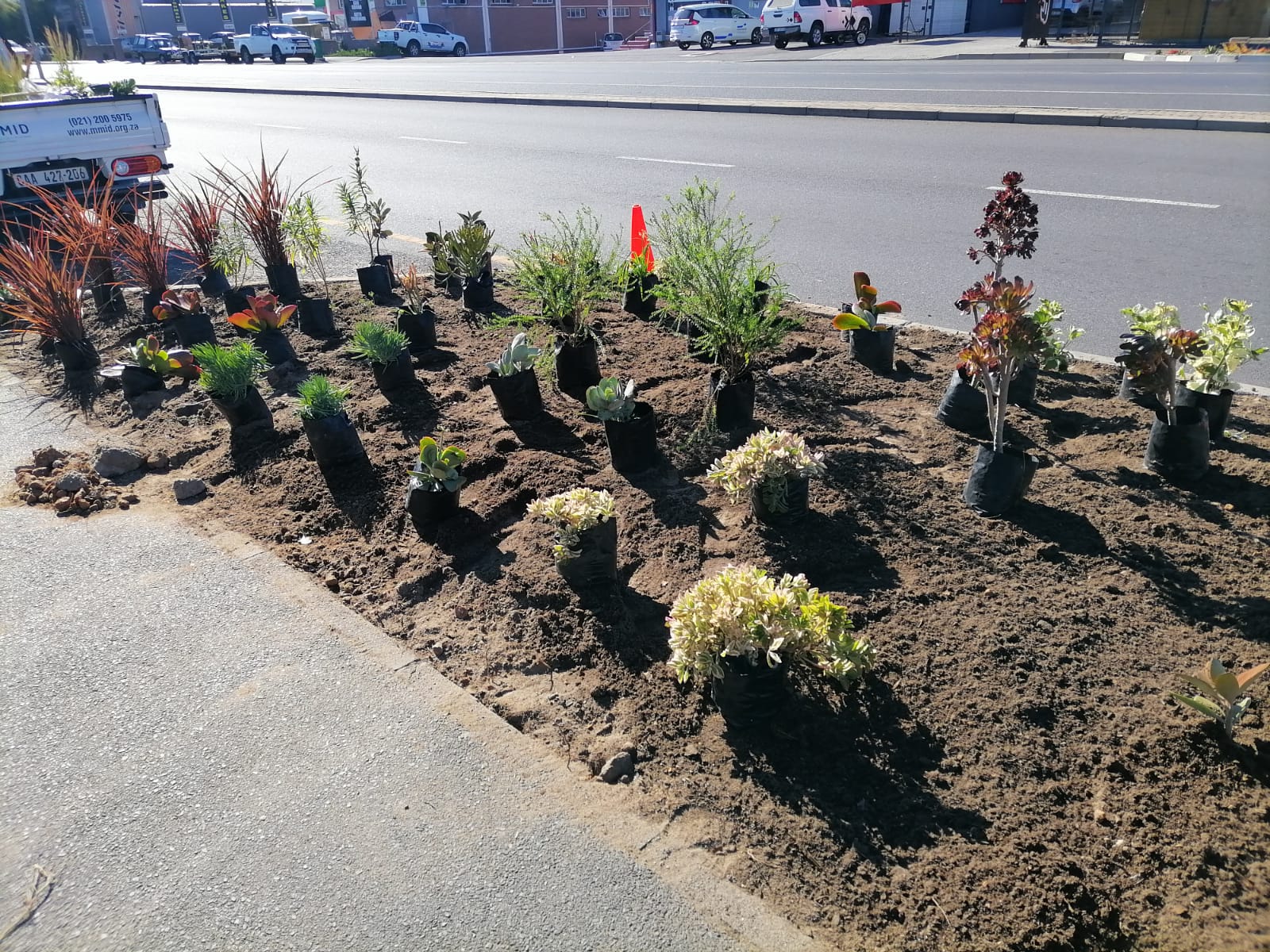 WhatsApp Image 2025-04-23 at 4.03