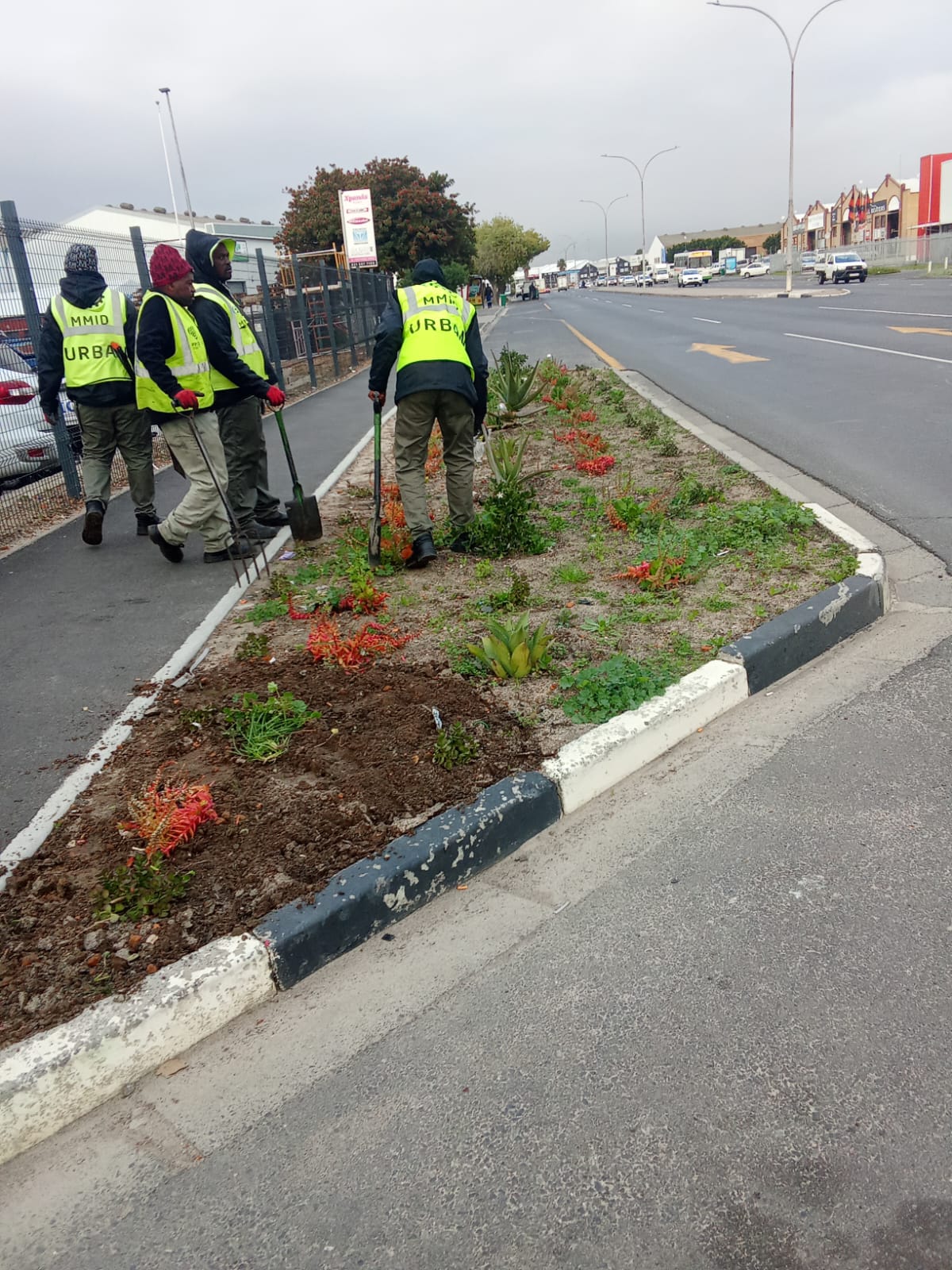 WhatsApp Image 2025-06-19 at 15.35