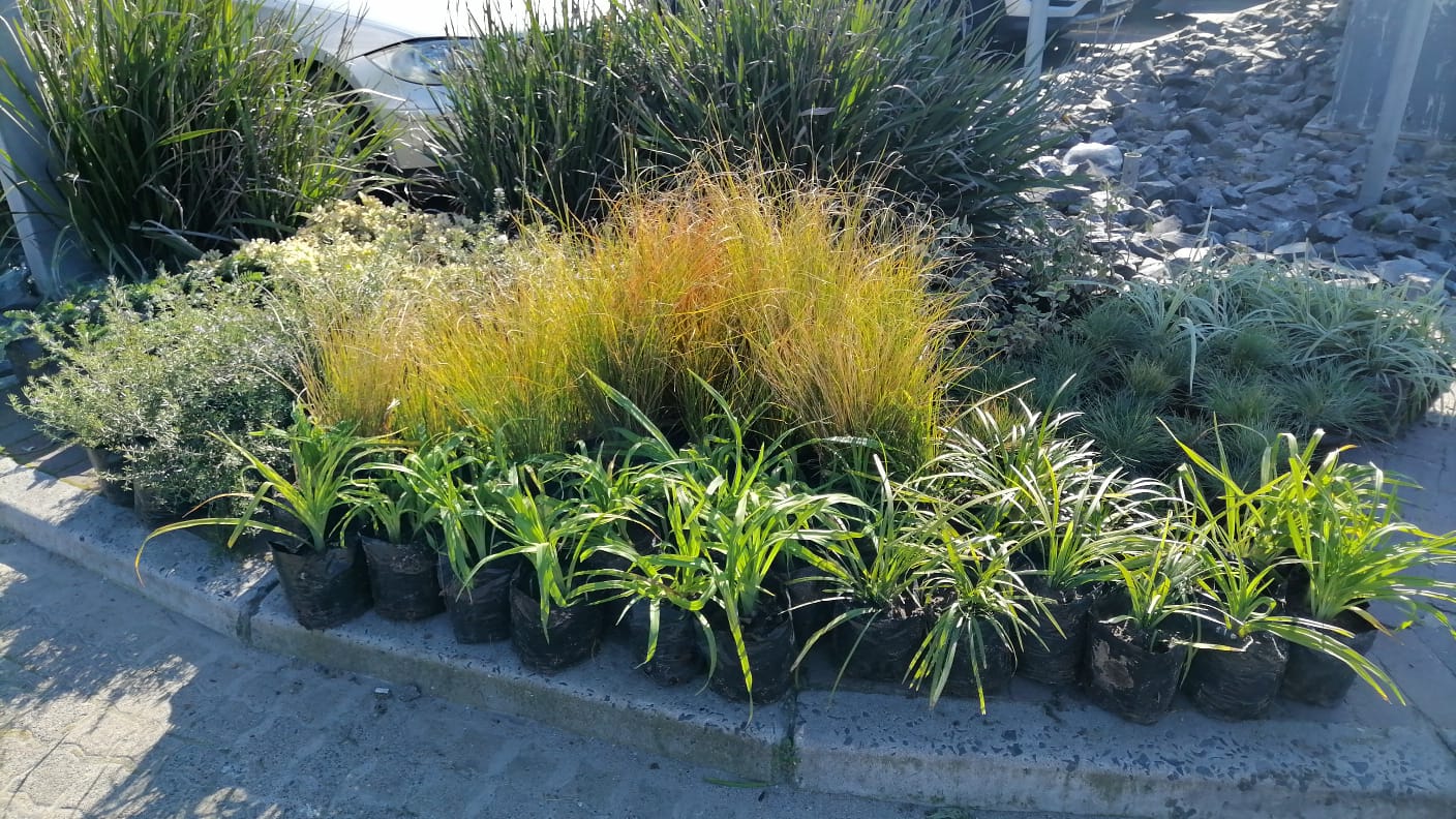 WhatsApp Image 2025-07-23 at 1.30