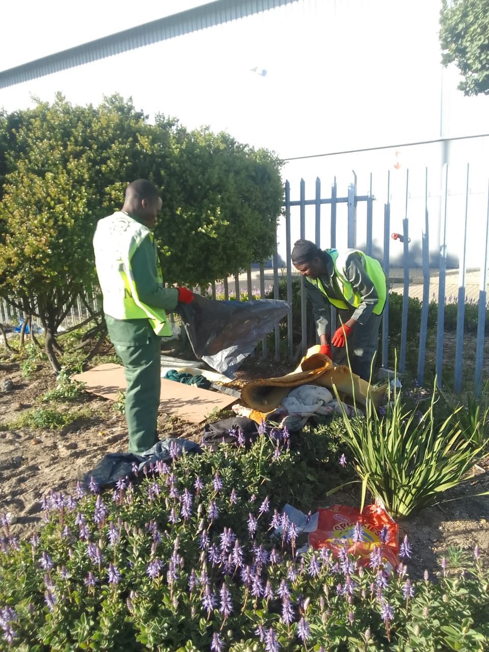 WhatsApp Image 2025-09-29 at 08.10