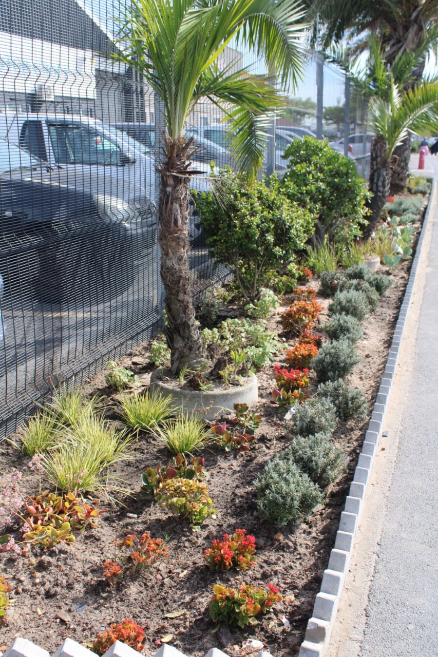 WhatsApp Image 2025-09-30 at 10.57