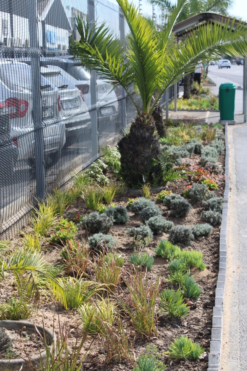 WhatsApp Image 2025-09-30 at 10.57