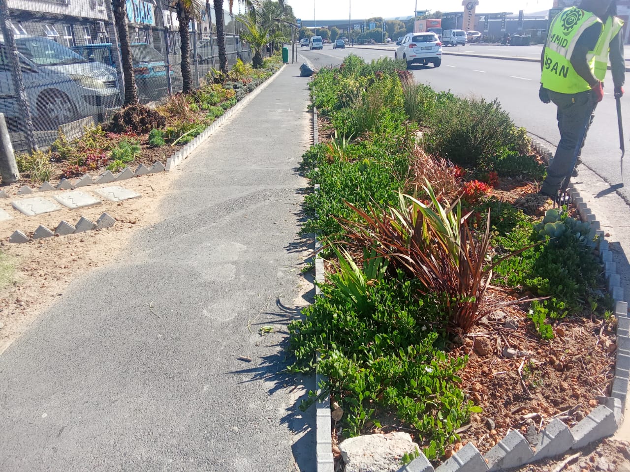 WhatsApp Image 2025-11-06 at 3.40