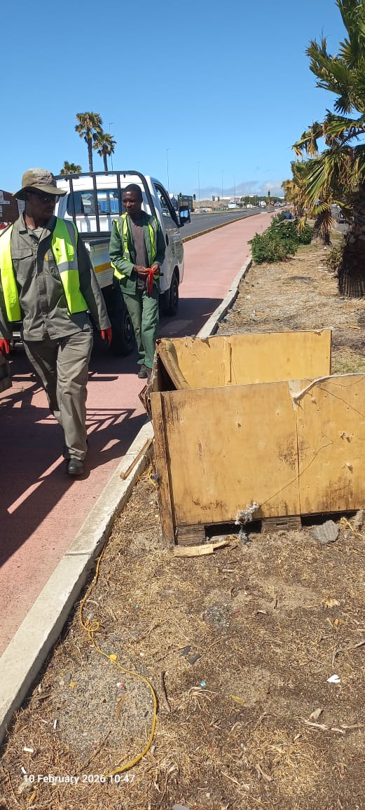 WhatsApp Image 2026-02-10 at 10.53